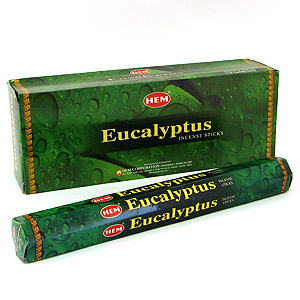 Эвкалипт (Eucalyptus), HEM, 6 шт